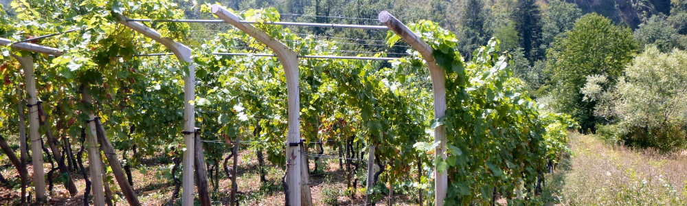 Jeperjek30: het huis, binnen