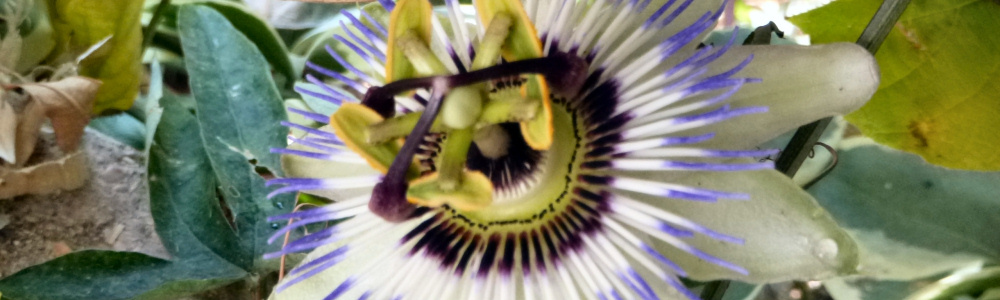 Jeperjek30: het huis, binnen